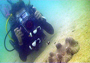 underwater video trainee anya