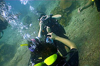 underwater videographer - koh tao