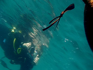 underwater video student filming batfish - koh tao