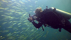 iain during videography training on thailand