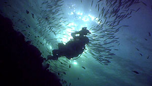 iain during video training on koh tao