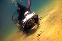 isabelle filming a seahorse - koh tao