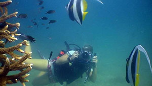 video training dive
