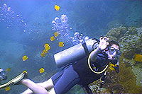 student crystal dive