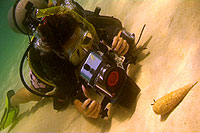 underwater video trainee kati