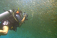 underwater video student - mango bay