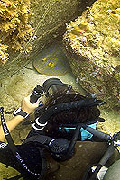 video trainee filming stingray - koh tao