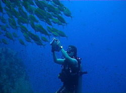 underwater video student filming in koh tao