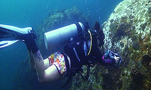 thailand videography trainee