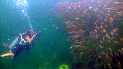debbie filming fusillers - koh tao