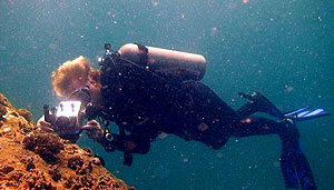 iain filming on koh tao, thailand