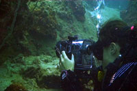 isabelle filming a moray - koh tao