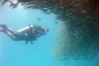 underwater video course trainee