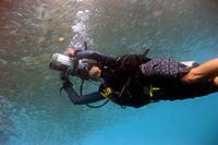 isabelle filming at mango bay