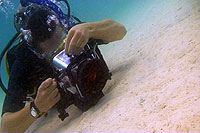 underwater video trainee