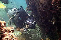 video student