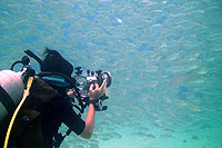 underwater video course