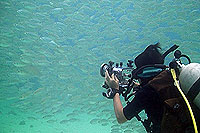 underwater video course