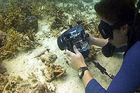 video trainee Marc
