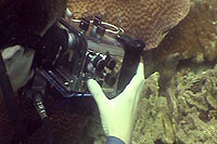 marc filming
