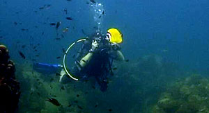 mike filming - thailand
