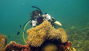 mike filming on koh tao