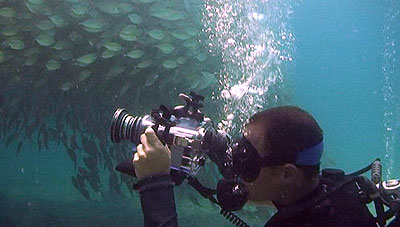 video trainee nir filming - koh tao