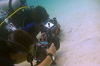 students filming