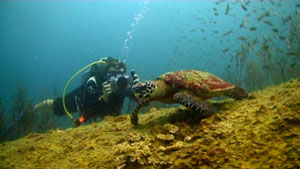 steve filming on koh tao