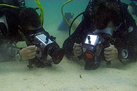 video trainees