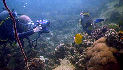 gaz learning underwater film making - koh tao