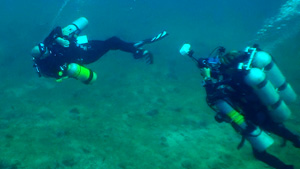 marine videographer - koh tao