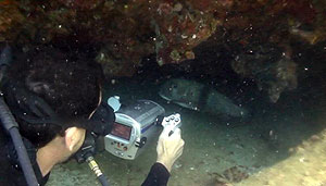 underwater video course - thailand