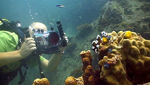 underwater-video-course-kohtao