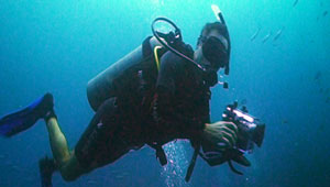 koh tao videographer