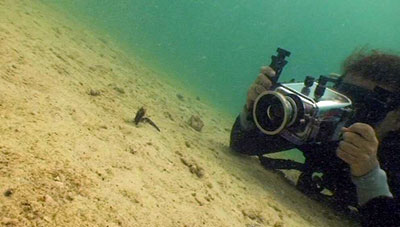koh tao film student filming a seahorse