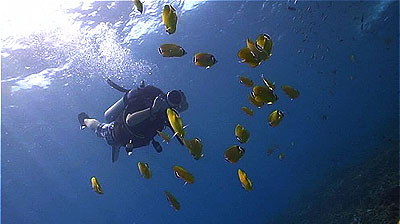 marine videographer