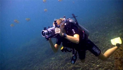 new video trainee - koh tao