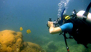 jimmy filming butterfly fish - thailand