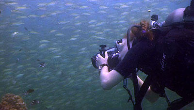 videography trainee filming on koh tao - thailand