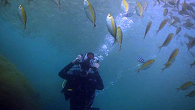 underwater filming in thailand