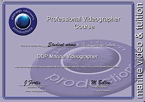 video course certificate ddp thailand