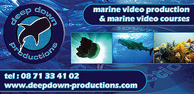 deepdown productions advert koh tao info