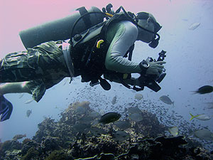 underwater videographer - nick prest