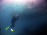 underwater video student