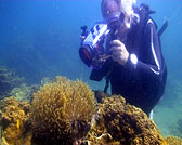 underwater video course
